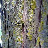 05062010042.jpg