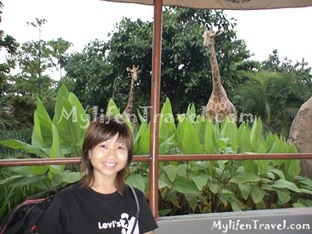 Hong kong Adventureland 21 Hong kong Adventureland 21