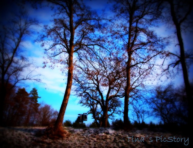 [orton%2520sky-13-1-2%255B5%255D.jpg]
