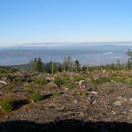 PC030150.JPG