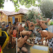 carnavalpompeu2012_flagras2_segunda4dia_34.JPG