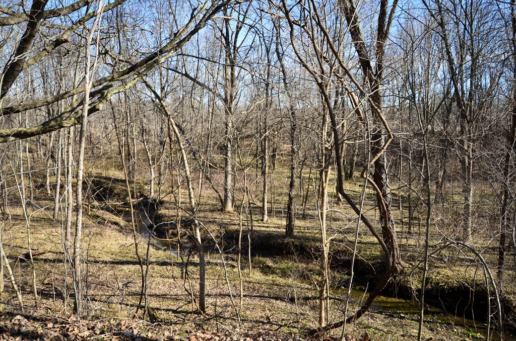 [DSC_0078%255B8%255D.jpg]