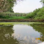 IMG_8220.JPG