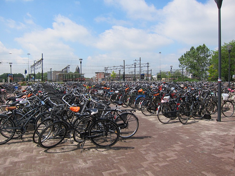 [IMG_1936%255B2%255D.jpg]