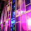 DSCF9182.JPG
