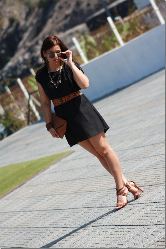 IMG_4069 IMG_4069