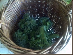 2012-05-27_17-32-30_103
