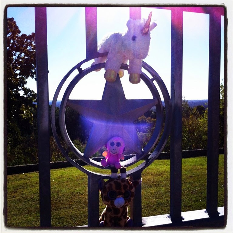 [IMG_5436%255B5%255D.jpg]