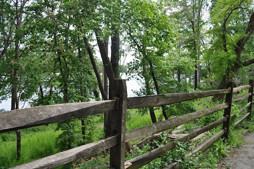 Banks of the Schuylkill River, located in Philadelphia, PA