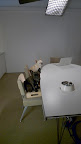 The next scene takes place in the conference room.  We're waiting patiently for Martha to make her cameo appearance.