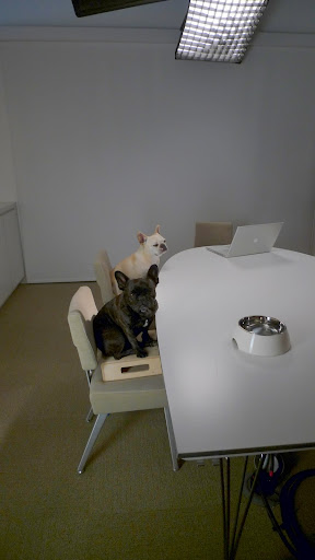 The next scene takes place in the conference room.  We're waiting patiently for Martha to make her cameo appearance.