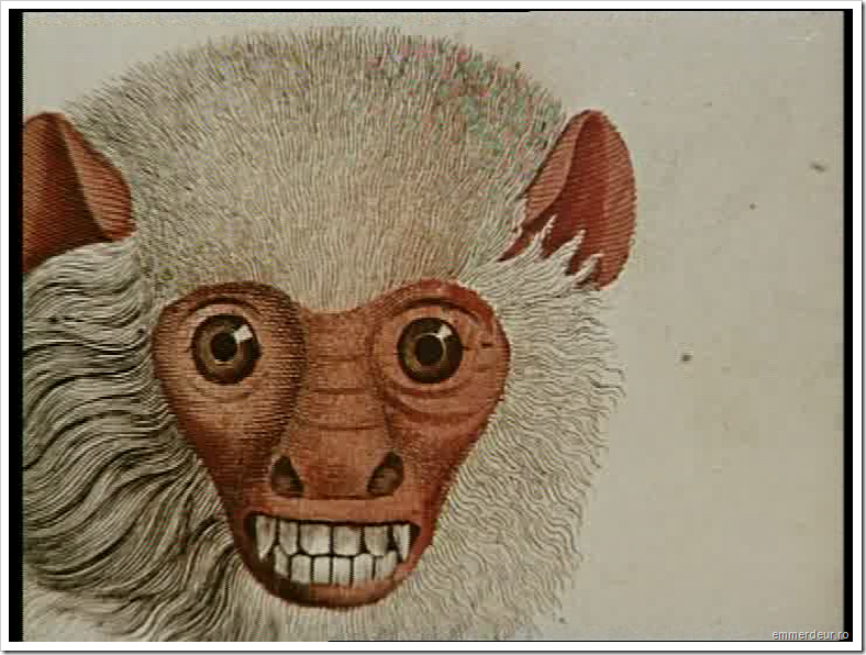 jan svankmajer historia naturae emmerdeur_467 jan svankmajer historia naturae emmerdeur_467