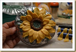 DSC_0558 DSC_0558