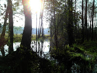 DSC00822.JPG Photo