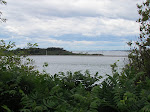 IMG_1655.jpg