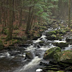 DSC_1522.jpg