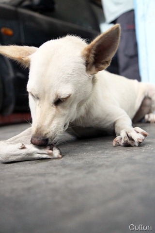 [IMG_0304%255B4%255D.jpg]