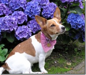 822273_tess_in_the_garden