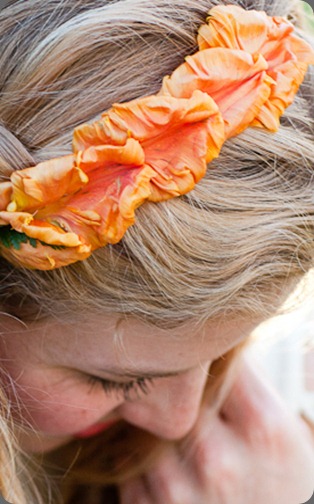 parrot 16.LukeSnyderStudioAndTheMonkeyFlowerGroup parrot 16.LukeSnyderStudioAndTheMonkeyFlowerGroup