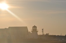 DSC_0685.JPG