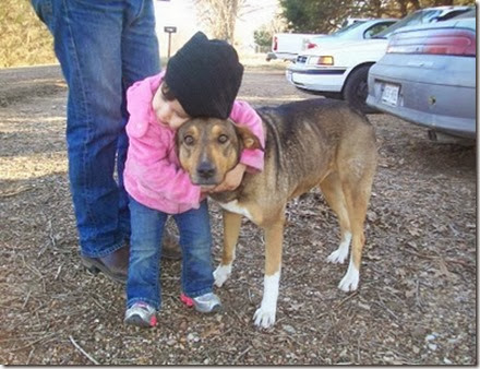 lil'helper and Gracie jan 2011