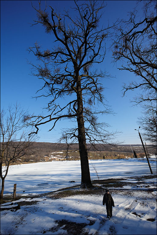 IMG_8846.jpg