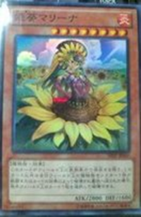 PrincessAoiMarina-SHSP-JP-OP PrincessAoiMarina-SHSP-JP-OP