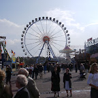 09260037.JPG