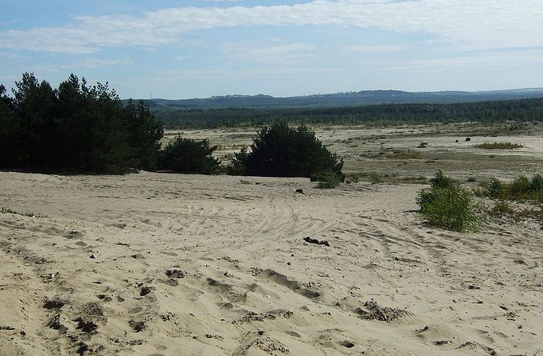 bledow-desert-1 bledow-desert-1