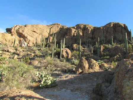 BoyceThompsonArboretumStatePark-27-2011-12-9-21-54.jpg