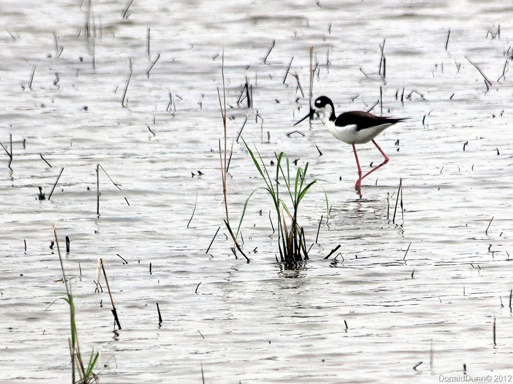 [IMG_2347B%255B1%255D.jpg]