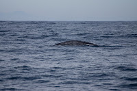 DSC01772.jpg