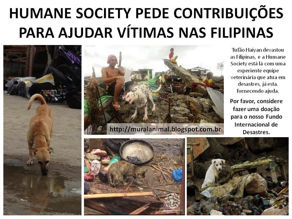 [HUMANE%2520SOCIETY%2520PEDE%2520CONTRIBUI%25C3%2587%25C3%2595ES%2520PARA%2520AJUDAR%2520V%25C3%258DTIMAS%2520NAS%255B3%255D.jpg]