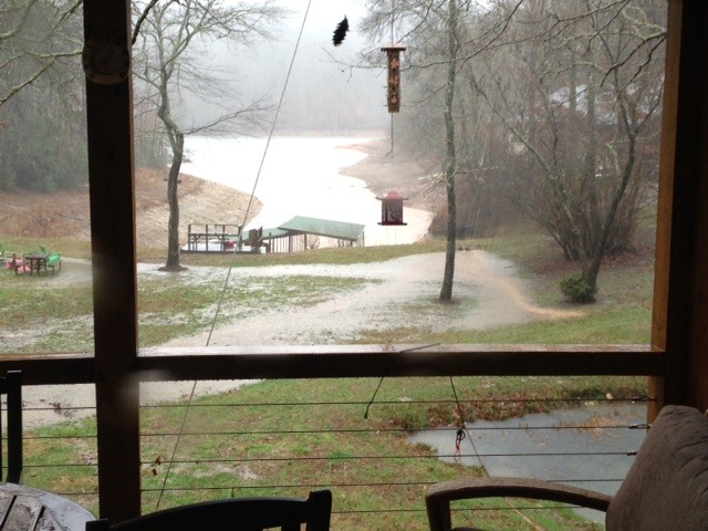 [rainy-backyard2.jpg]