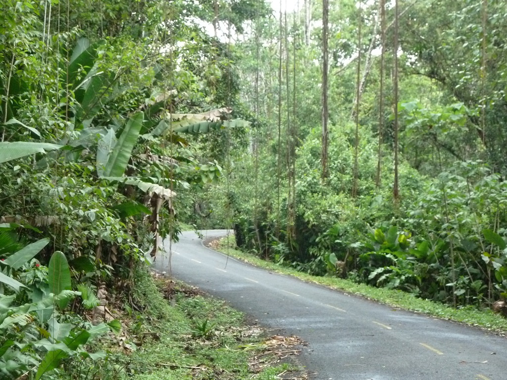 [20110713Bocas%2520del%2520Drago-007-32%255B4%255D.jpg]