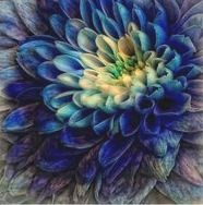 [blues%255B3%255D.jpg]