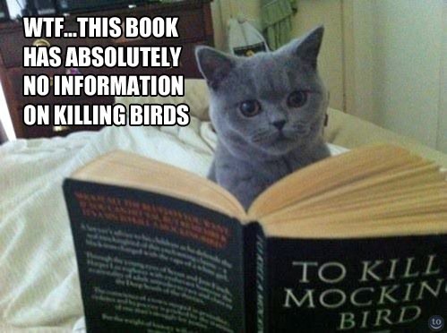 [lolmockingbird%255B3%255D.jpg]