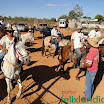 CavalgadaFelixlandia2011-095.jpg