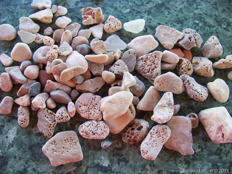 [100_8475%255B6%255D.jpg]