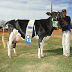 superleite2011_dia1607_43.JPG