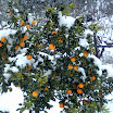 Zeldzame sneeuw in Epidavros