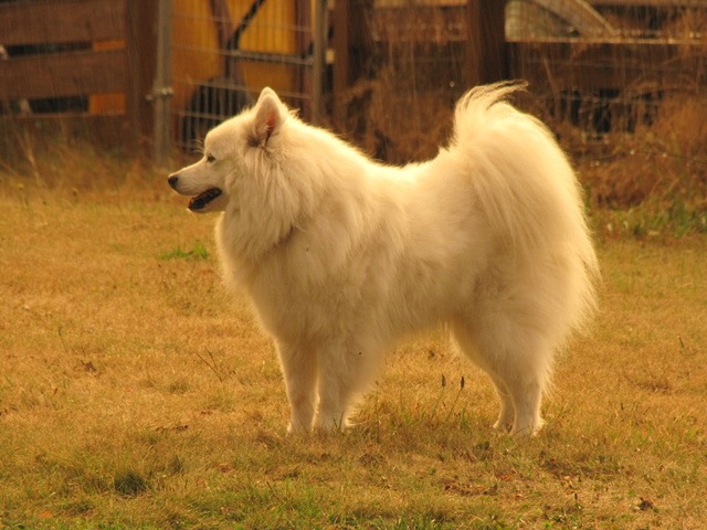 [IMG_1656%255B4%255D.jpg]