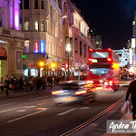 Night life