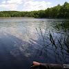 dsc02992.jpg