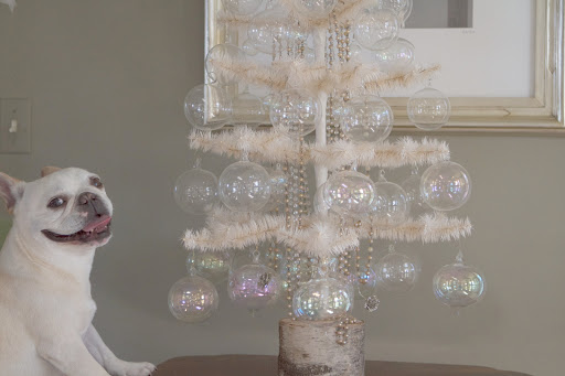 Francesca, did you see this amazing feather tree decorated with clear glass balls here in the bird room?
