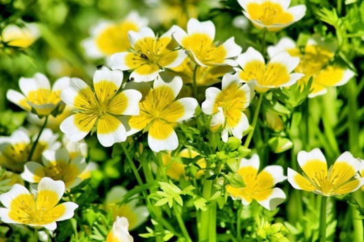 [428560_441129062584715_28842717_n%255B2%255D.jpg]