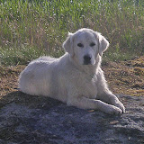 Vilma