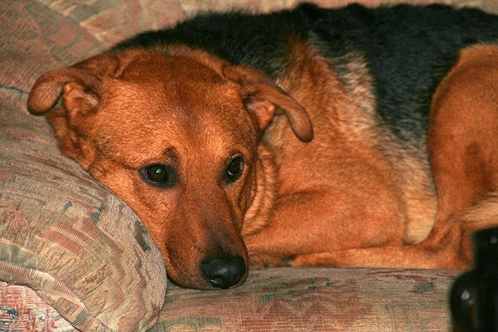 [IMG_5562%255B2%255D.jpg]