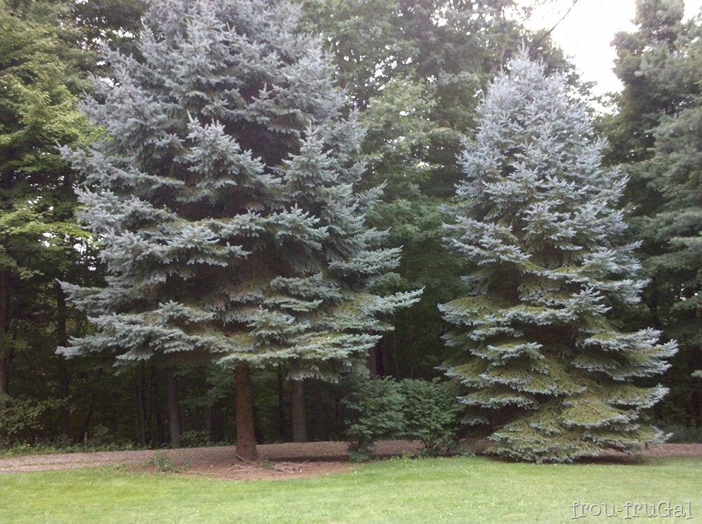 [IMG_20110905_142348%255B3%255D.jpg]