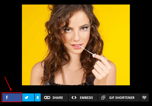 Como colocar GIFs animados no Facebook - Visual Dicas Como colocar GIFs animados no Facebook - Visual Dicas